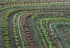 Sunnybank Hillsorganic-gardening-10.jpg; ?>