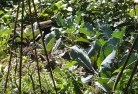 Sunnybank Hillsorganic-gardening-3.jpg; ?>