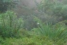 Sunnybank Hillsorganic-gardening-8.jpg; ?>